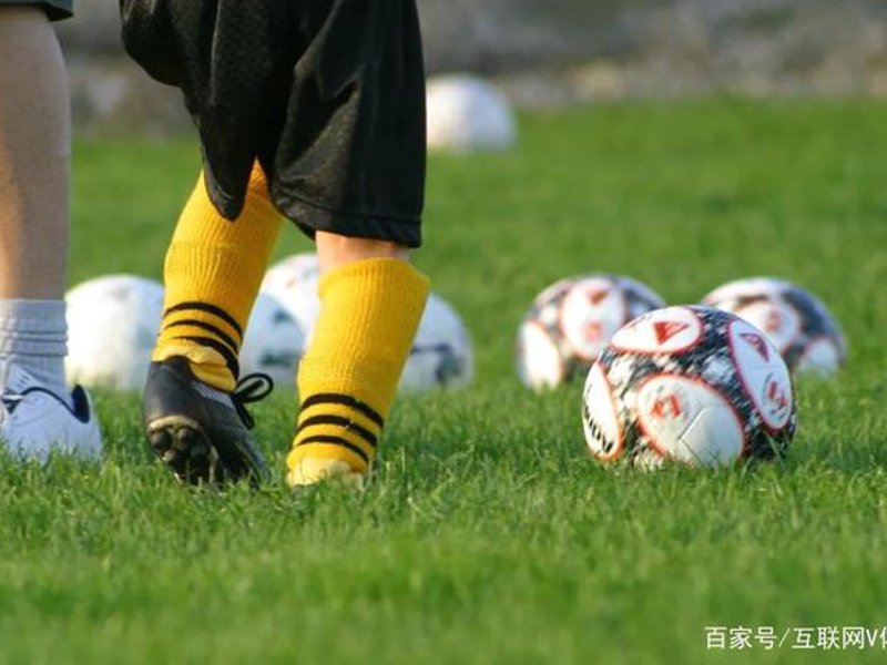 走进江南官网下载